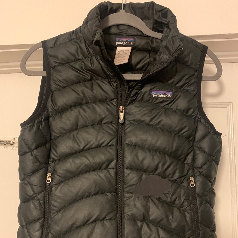 Patagonia down sweater vest